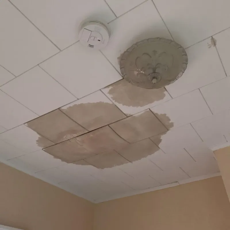 Ceiling Water Damage Repair in Delphi, IN