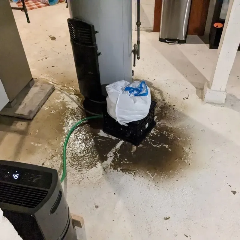 Sewage Backup Cleanup Service in Delphi, IN